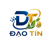 logo daotin co chu